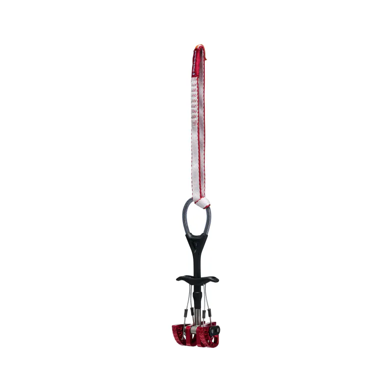 Black Diamond Camalot C4 Extendable sling #1