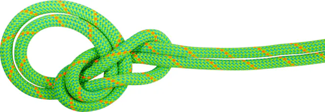 Hovedbilde Mammut 9.5 Crag Dry Rope neon green-ocean 80 ...