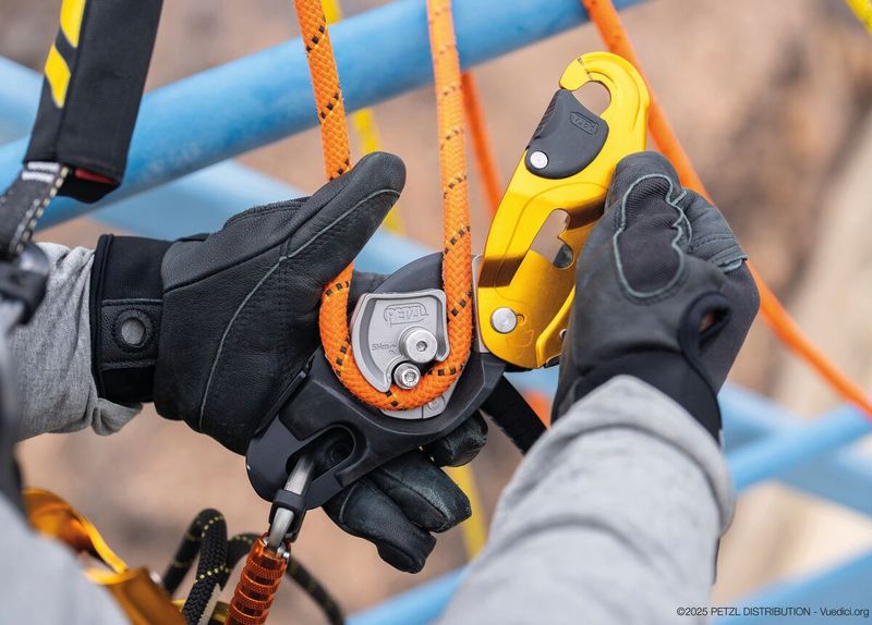 Petzl RIG® Repairable black
