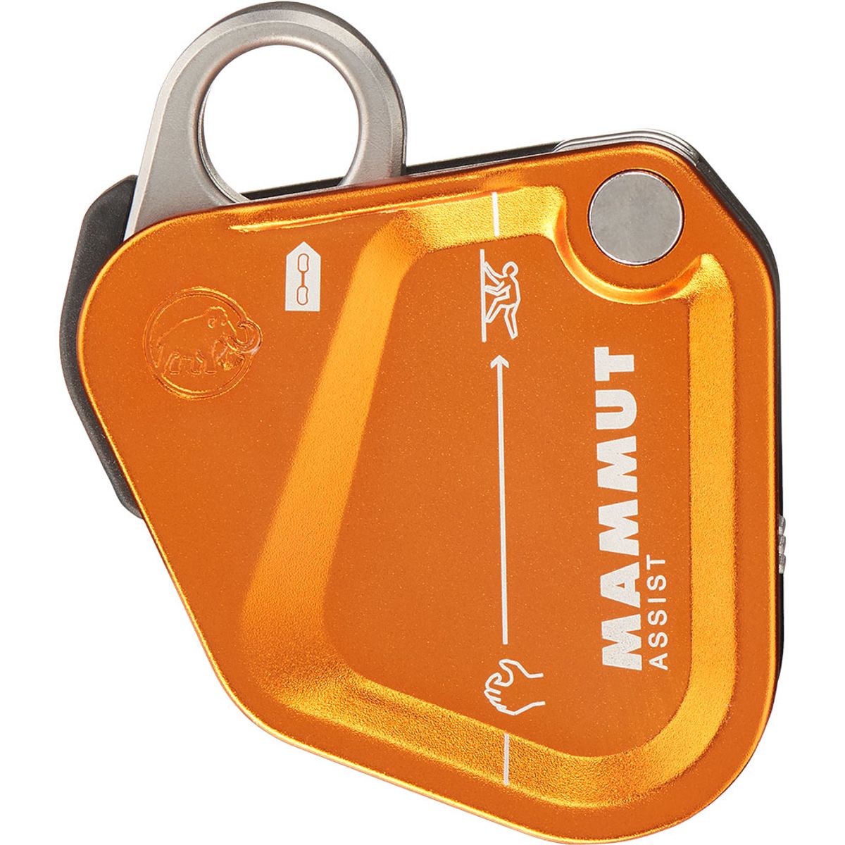 Mammut Assist Belay Resistor