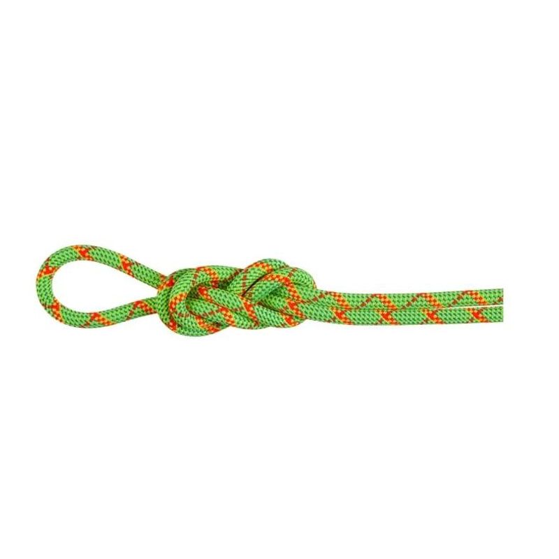 Mammut 8.0 Alpine Core Protect Dry Rope Dry Standard halo-vibrant orange 50m