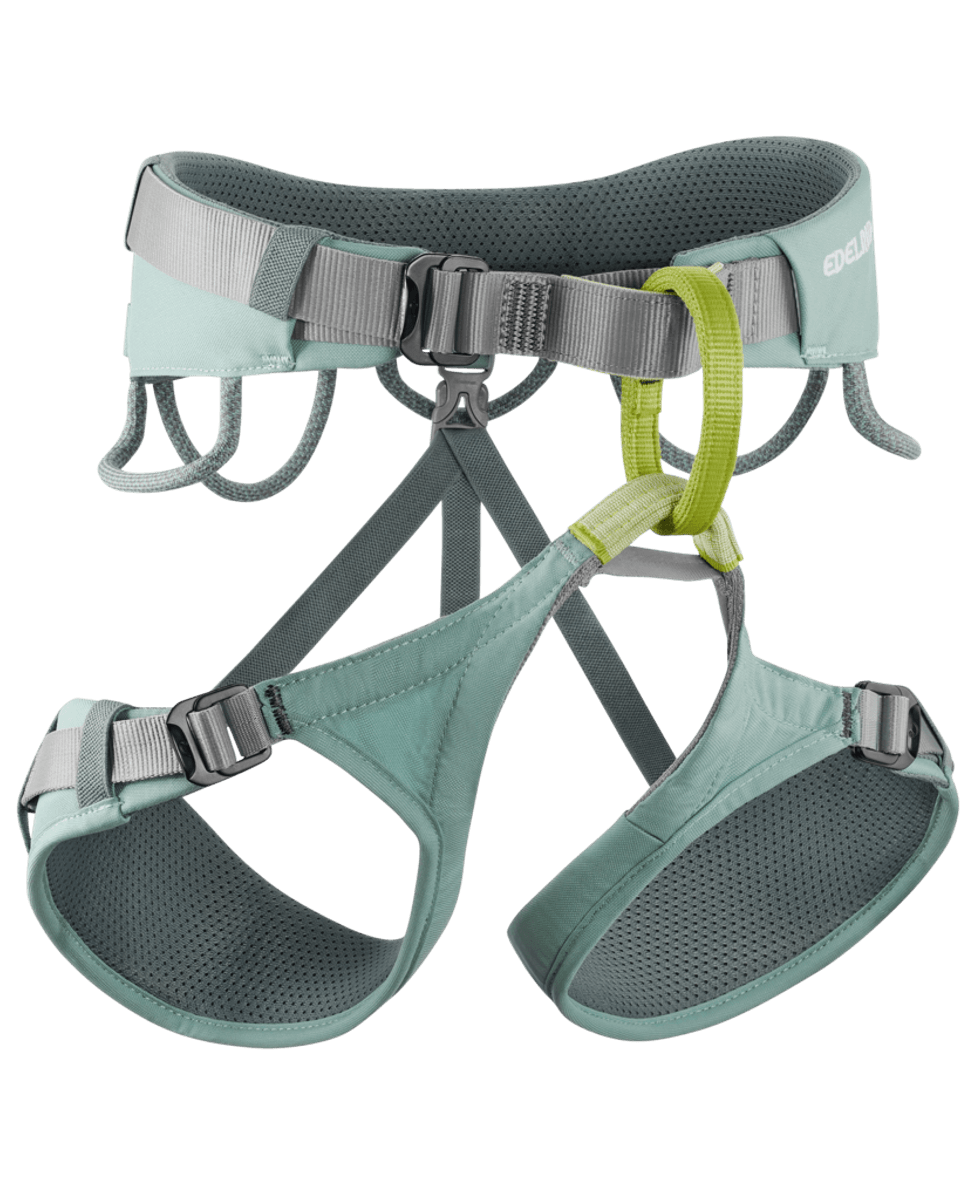 Edelrid Jayne IV dolphin