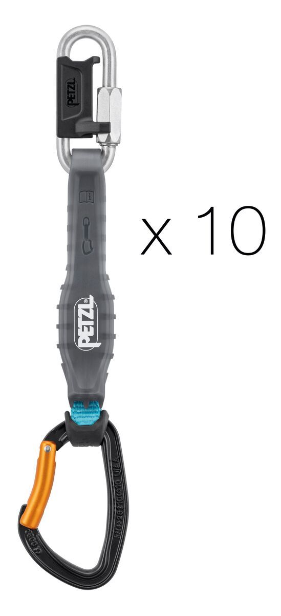 Petzl Djinn Steel Axess 10 pack